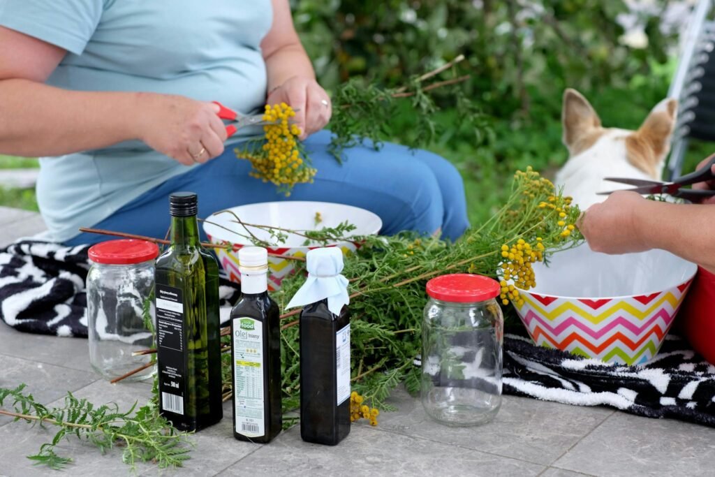 kruidenworkshop – creatief werken met kruiden